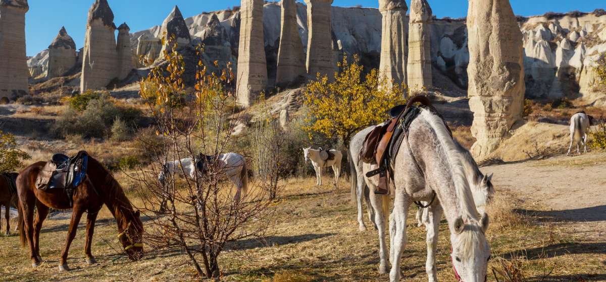 2 Dias CAPADÓCIA EXPRESS I (Q-LTD-3)